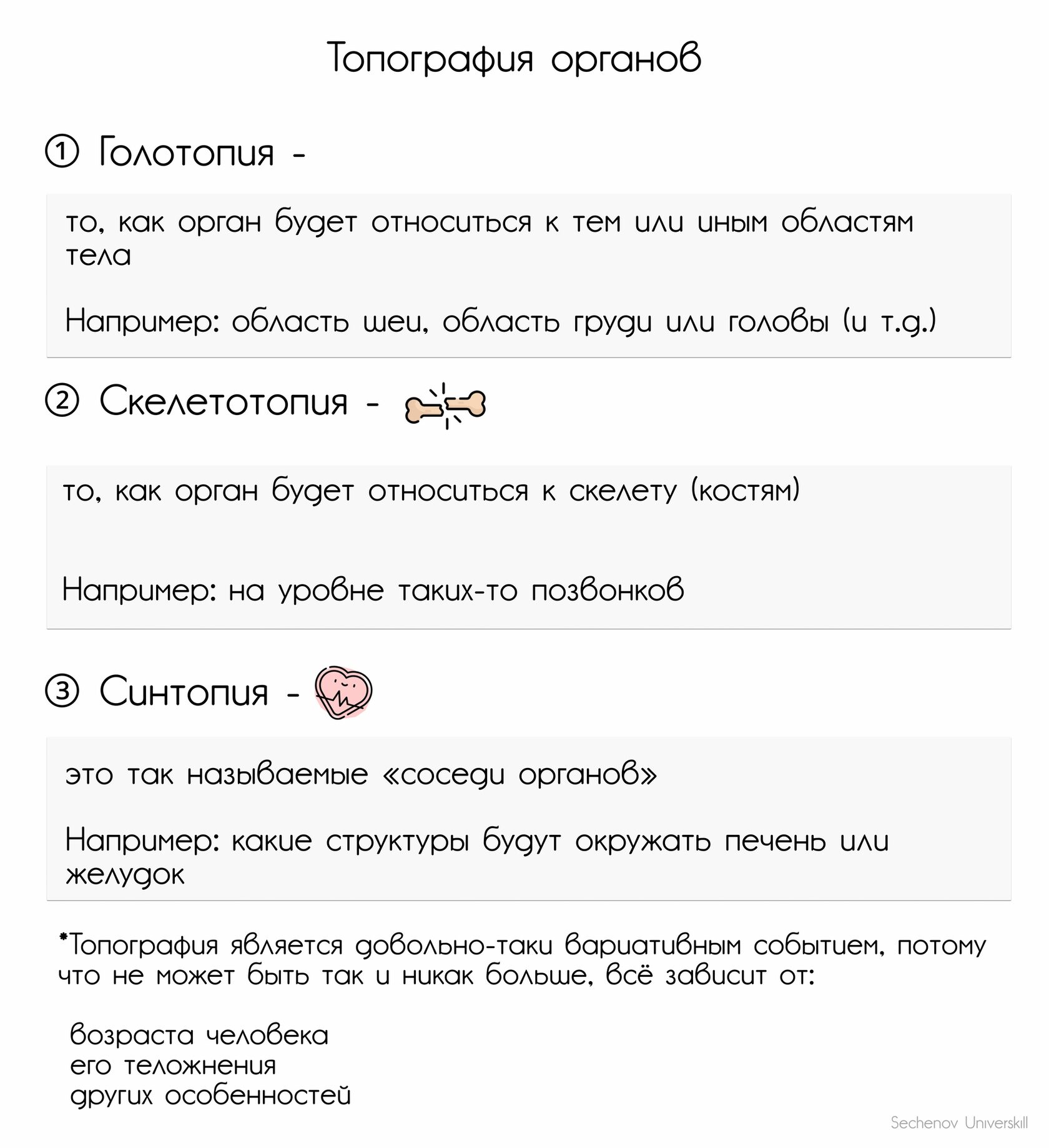 Топография органов — схема